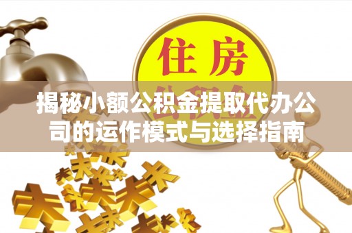 邵东揭秘小额公积金提取代办公司的运作模式与选择指南